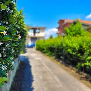 Green Home Roma